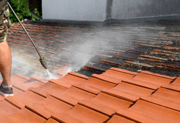 Best Pressure Washing Driveway  in Frankfort, OH
