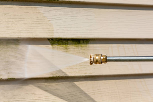 Best Pressure Washing Near Me  in Frankfort, OH