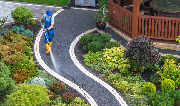 Best Roof Pressure Washing  in Frankfort, OH